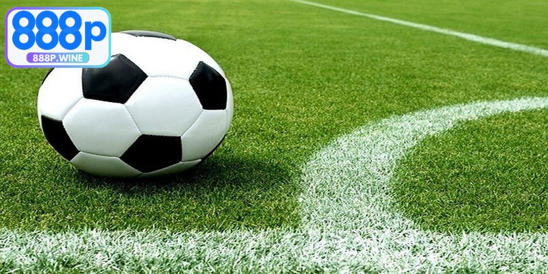 Hướng dẫn cách đọc kèo Châu Âu chuẩn xác, đơn giản cho người mới