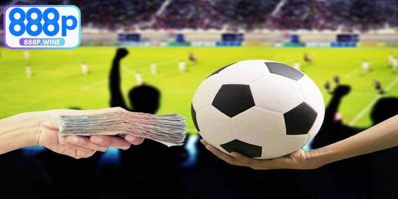 Bật mí tuyệt chiêu soi kèo Châu Âu bất bại từ các cao thủ