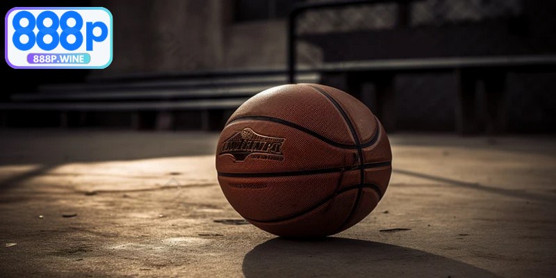 Bóng rổ được xem là môn có lượng fan lớn, sức hút mạnh mẽ